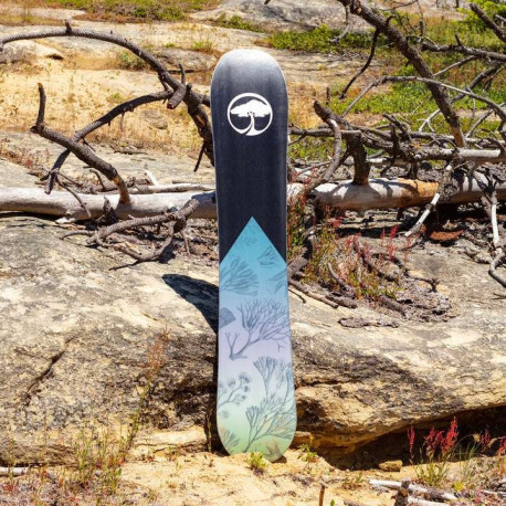 Snowboard Arbor Veda Camber 2023 