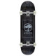 Skateboard Completes Arbor Logo 8.5" 2024 