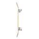 Skateboard Completes Arbor Whiskey Experience 7.75" 2023