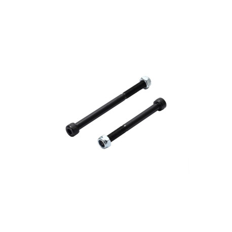 Blunt Axle Peg Streeet Double Side 2021