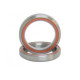Blunt Head Set Bearing 2021