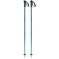 Ski Pole Salomon Arctic Blue 2023