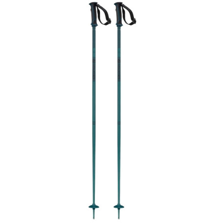 Ski Pole Salomon Arctic Blue 2023