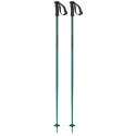 Bâtons de Ski Salomon Arctic Blue 2023