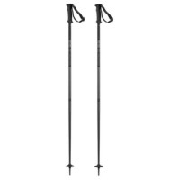 Ski Pole Salomon Arctic Lady Black 2020