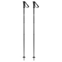 Ski Pole Salomon Arctic Lady Black 2020