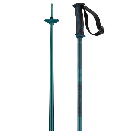 Bâtons de Ski Salomon Arctic Blue 2023
