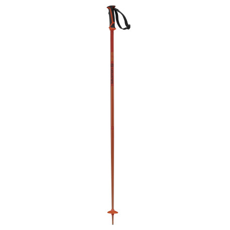 Bâtons de Ski Salomon Arctic Orange 2023