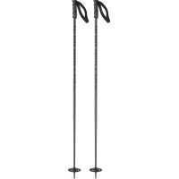 Bâtons de Ski Salomon Hacker Black 2023