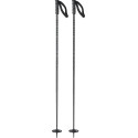 Ski Pole Salomon Hacker Black 2023
