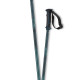 Ski Pole Salomon Arctic Blue 2023