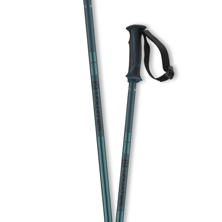 Bâtons de Ski Salomon Arctic Blue 2023