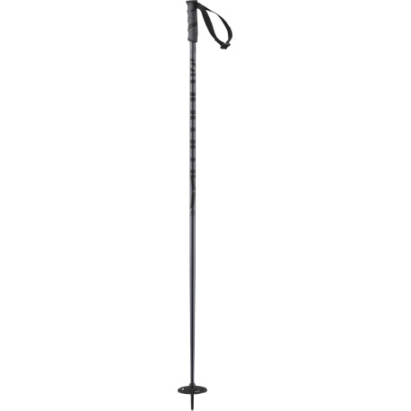 Ski Pole Salomon Hacker Black 2023