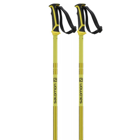 Bâtons de Ski Salomon Arctic Yellow 2023