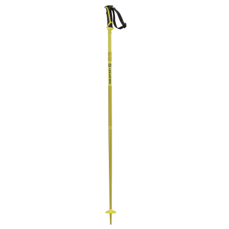 Bâtons de Ski Salomon Arctic Yellow 2023