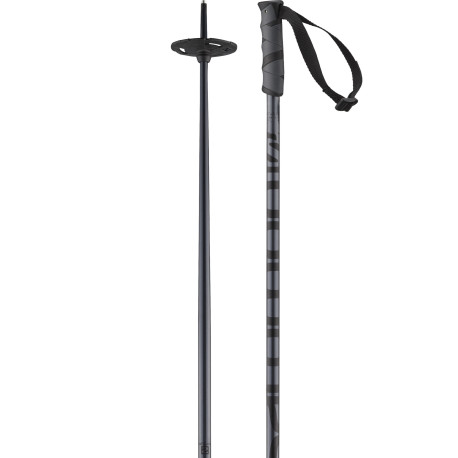 Bâtons de Ski Salomon Hacker Black 2023