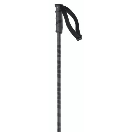 Bâtons de Ski Salomon Hacker Black 2023