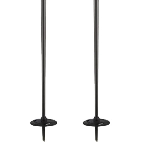 Ski Pole Salomon Hacker Grey 2023