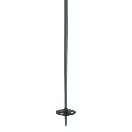 Ski Pole Salomon Hacker Black 2023