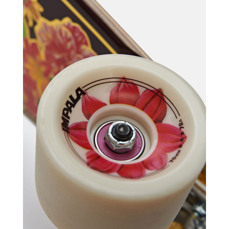 Longboard Complètes Impala Jupiter 37" 2023