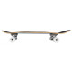 Cruiser Completes D Street Palm 29.5" 2023