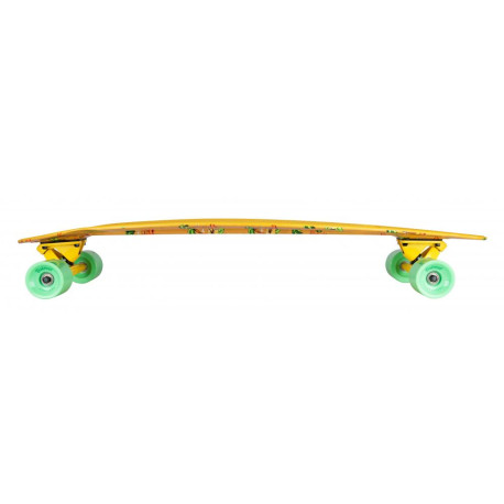 Longboard Complètes D Street Pintail Oasis 2023