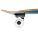 Cruiser Completes D Street Palm 29.5" 2023