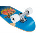 Cruiser Completes D Street Palm 29.5" 2023