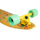 Longboard Complètes D Street Pintail Oasis 2023