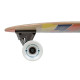 Surfskate D Street Coda 2023