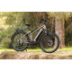 Winora E-Vélos Sinus IX12 Femme 2021 - Trekking
