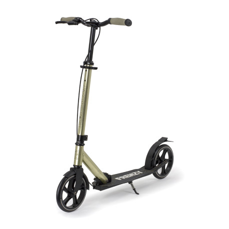 Scooter Frenzy Dual Brake Plus 2023