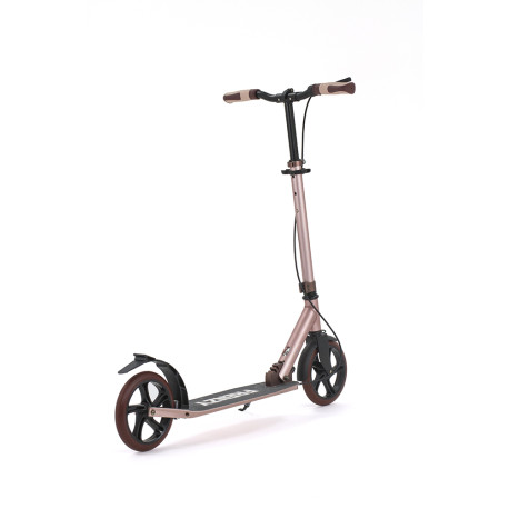 Scooter Frenzy Dual Brake Plus 2023