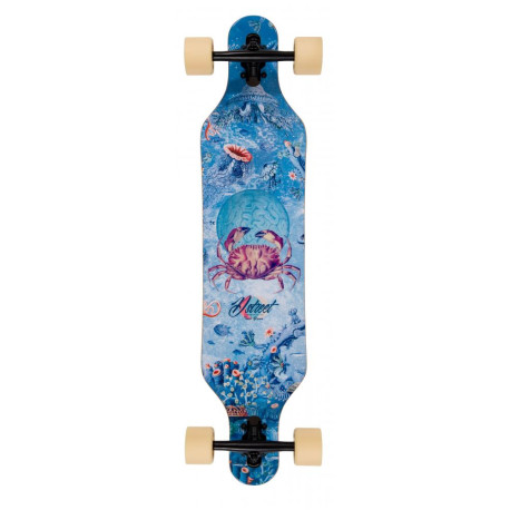 D Street Dropthrough Reef 37\\" - Complete 2022 - Longboard Complete