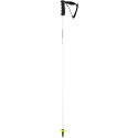 Ski Pole Head Worldcup Rebels Carbon white/black 2023