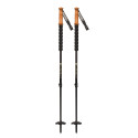 Ski Poles Armada Carbon Adjustable 2025 