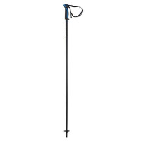 Ski Pole Head Frontside 2023