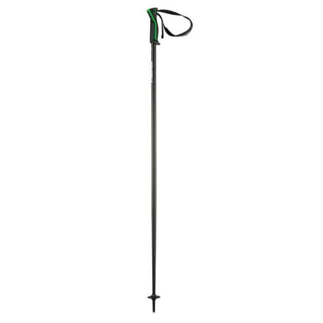 Ski Pole Head Frontside 2023