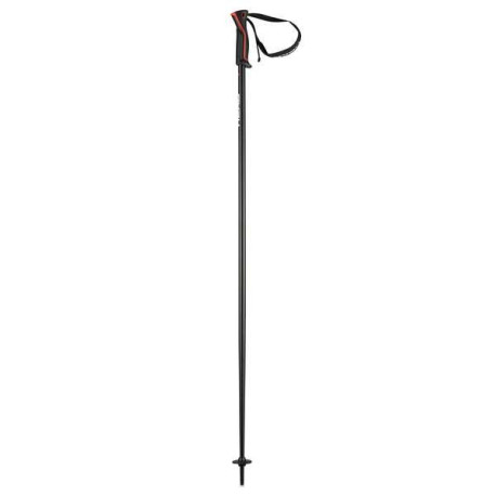 Ski Pole Head Frontside 2023