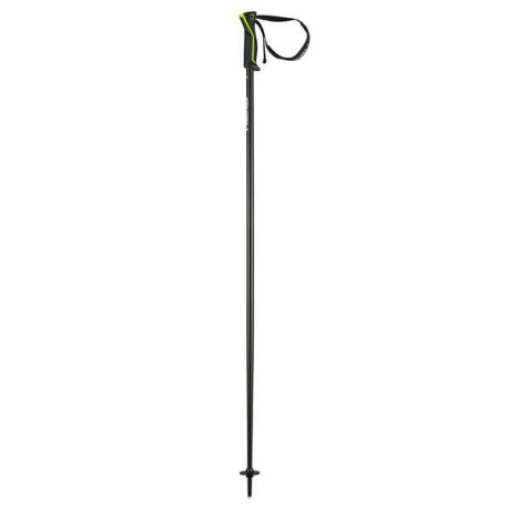 Ski Pole Head Frontside 2023