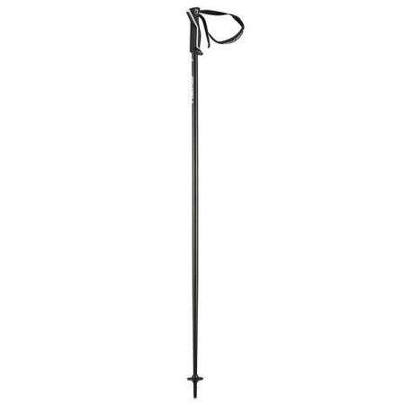 Ski Pole Head Frontside 2023