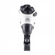 Inlineskates FR Skates W 80 Black/White 2019
