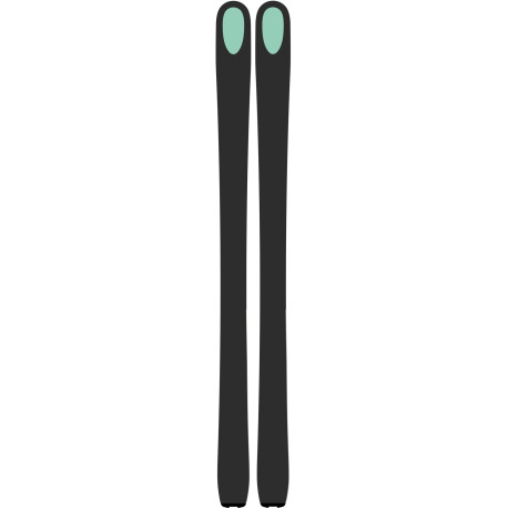 Ski Kastle FX95 2019