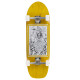 Skateboard Cruiser Complet Mindless Tiger Sword 2023 