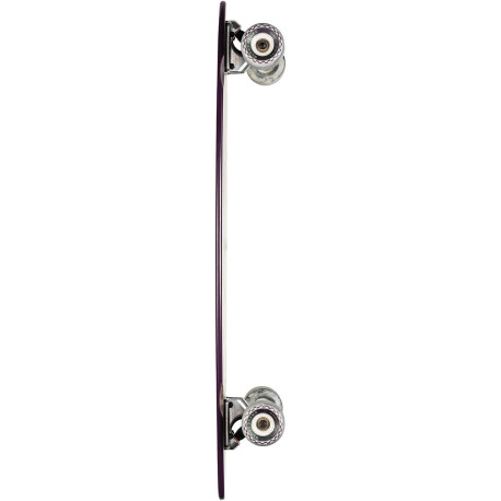 Longboard Complete Globe Pintail The Sentinel 2021  - Longboard Komplett