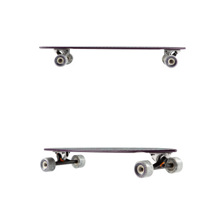 Longboard Complete Globe Pintail The Sentinel 2021  - Longboard Komplett