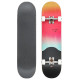 Skateboard Completes Globe G1 Argo Boxed 2021  - Skateboards Completes