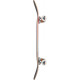 Skateboard Completes Globe G1 Argo Boxed 2021  - Skateboards Completes