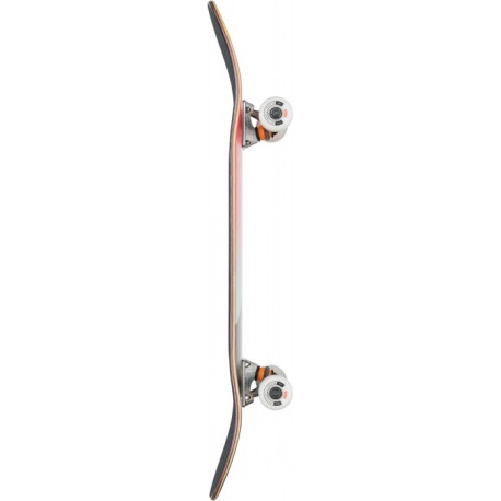Skateboard Completes Globe G1 Argo Boxed 2021  - Skateboards Completes