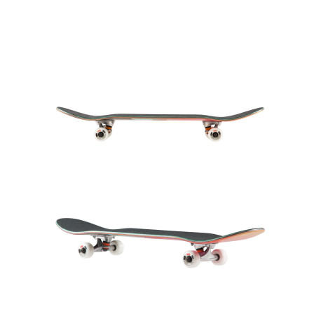 Skateboard Completes Globe G1 Argo Boxed 2021  - Skateboards Completes
